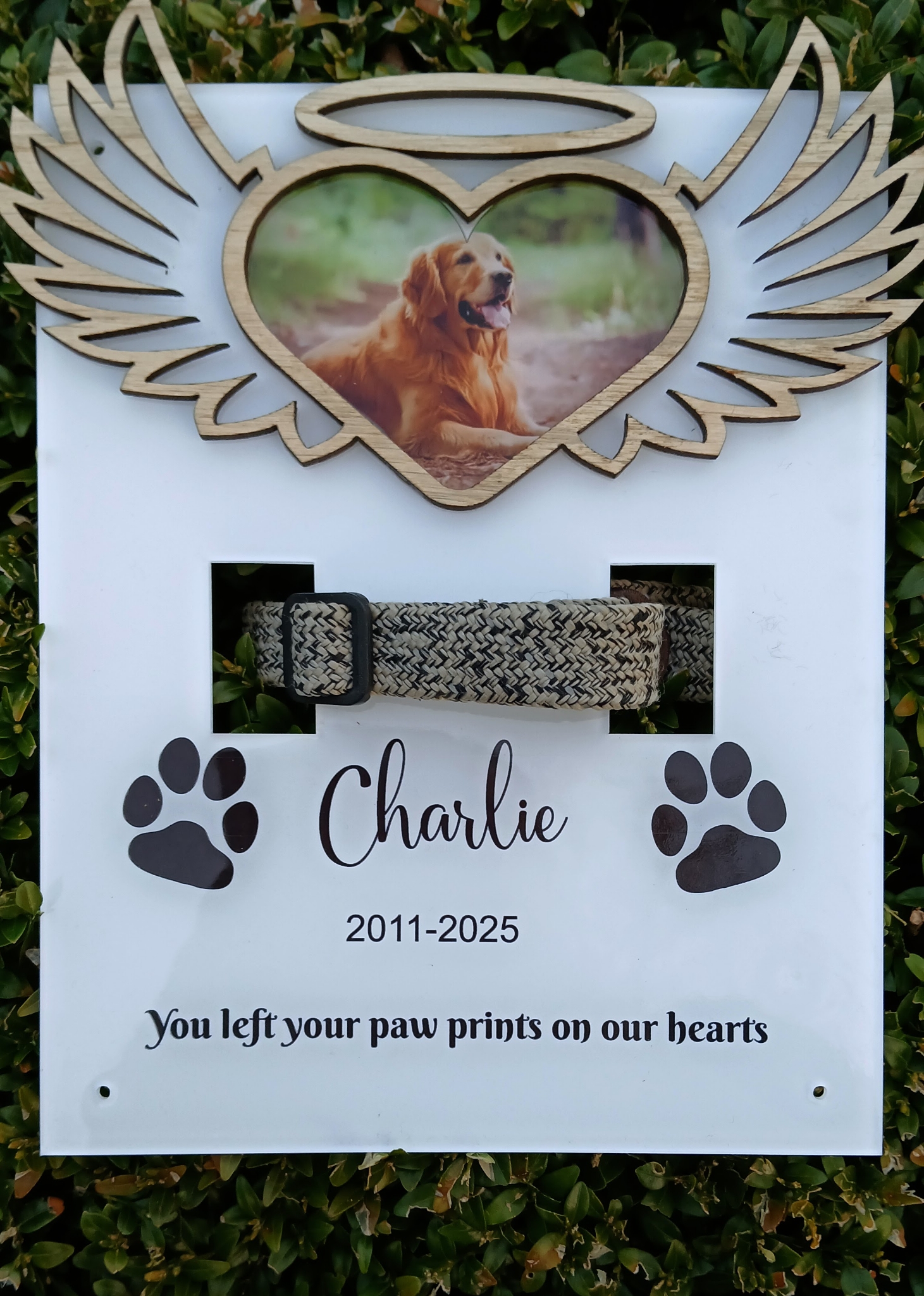 Personalised Memorial Plaque Dog/Cat Collar Holder Memory Gift Pet Memorial