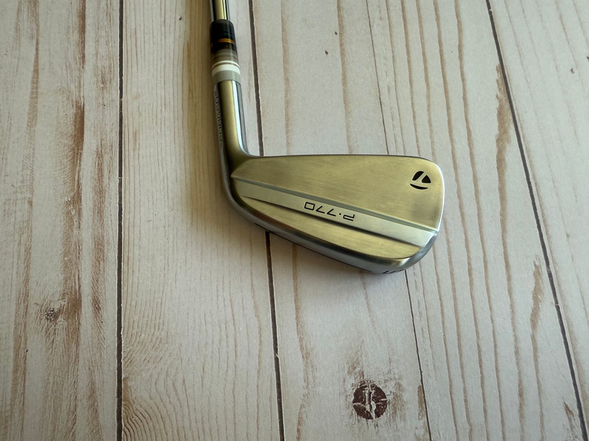 TaylorMade P770 2025 5 Iron TT Dynamic Gold TI X100 Shaft