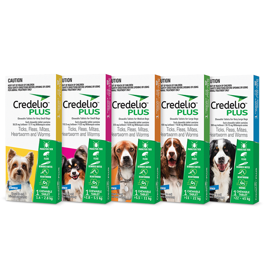 Credelio plus