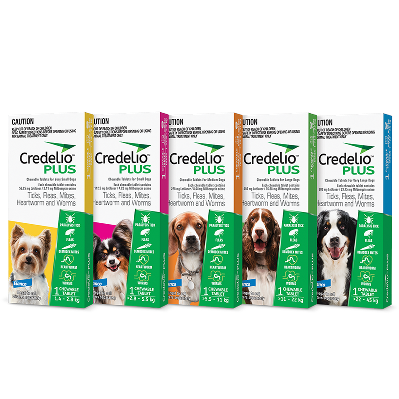 Credelio plus