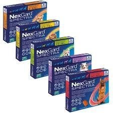 Nexgard spectra