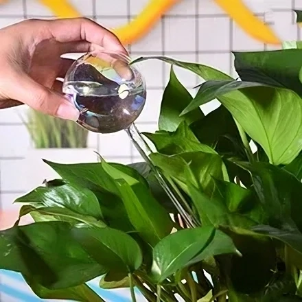 3 Pcs self watering balls for plats