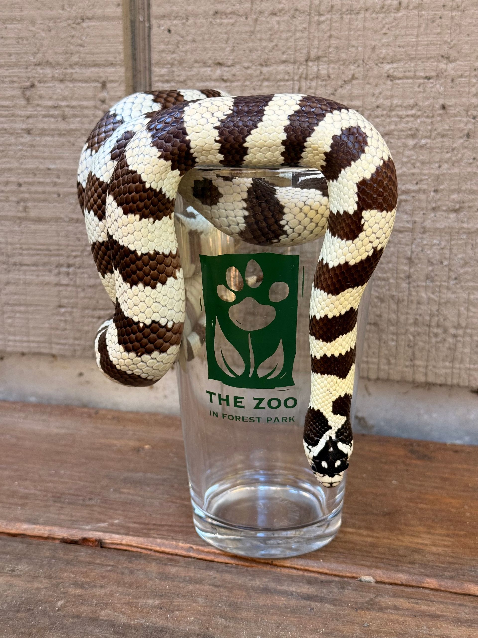 Logo Pint Glass