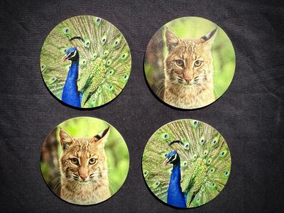 Coasters (Set of 4)