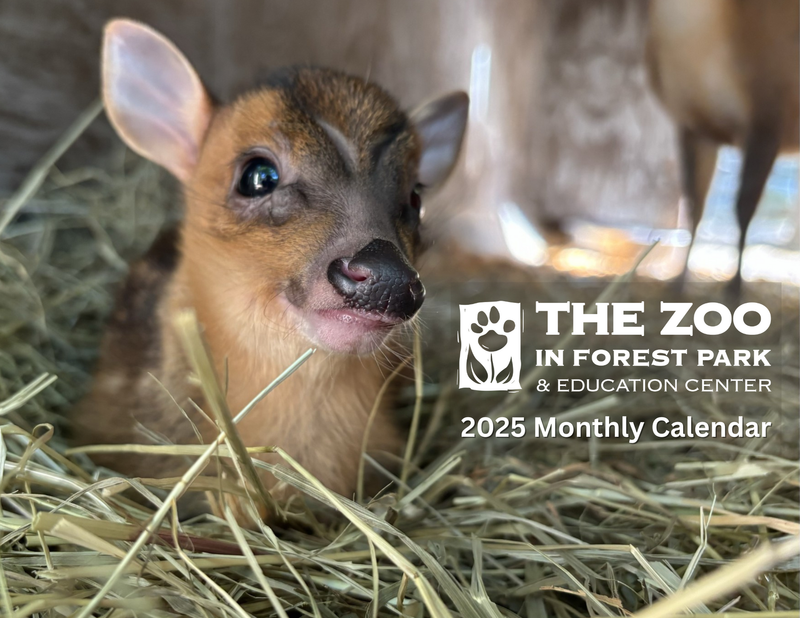 2025 Zoo Calendar