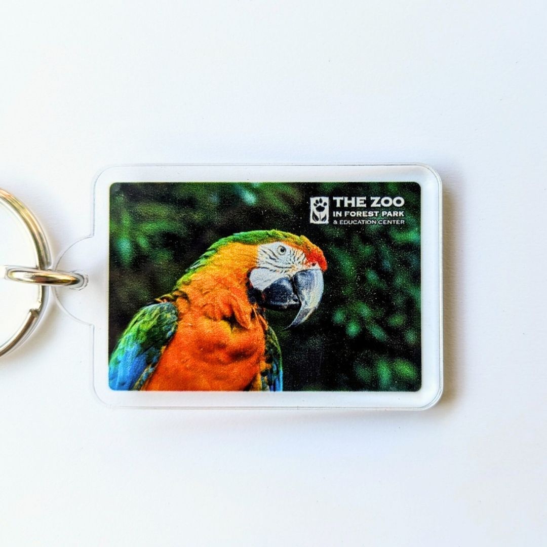 Animal Photo Keychain