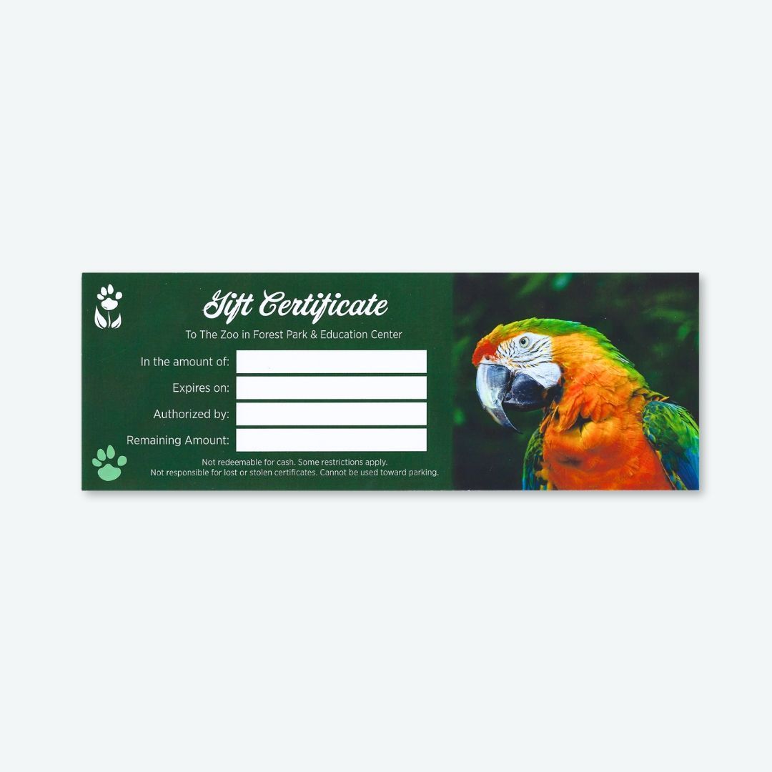 Gift Certificate
