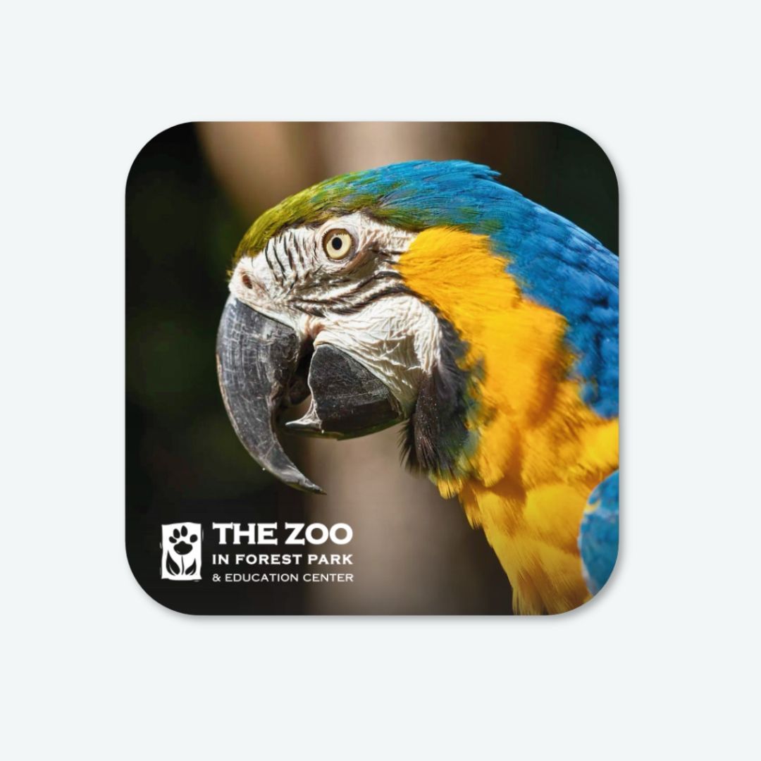 Blue & Gold Macaw Vinyl Sticker