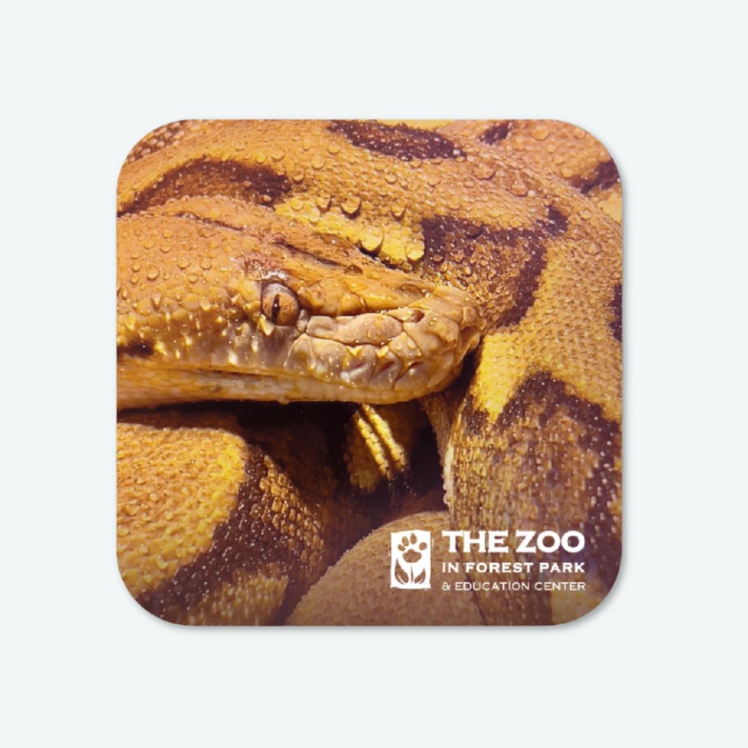 Reticulated Python Vinyl Sticker