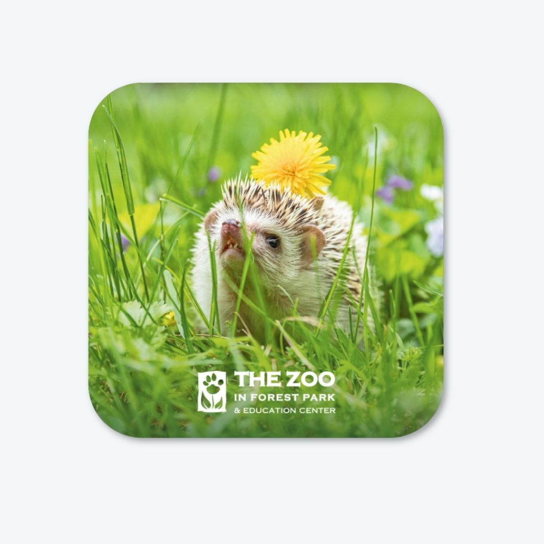 Hedgehog Vinyl Sticker