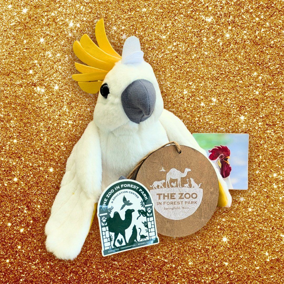 Holiday Plush & Ornament Bundle