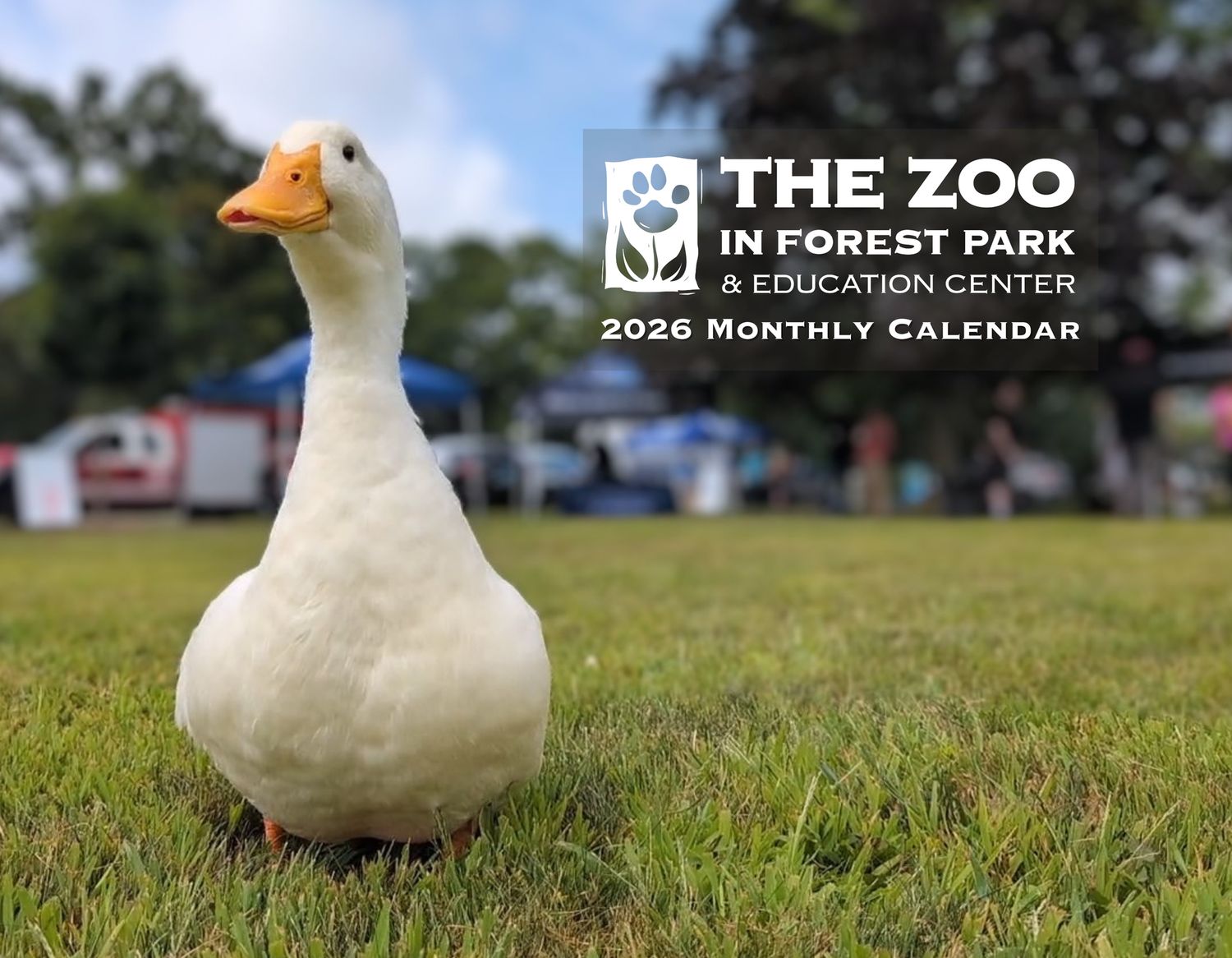 2026 Zoo Calendar