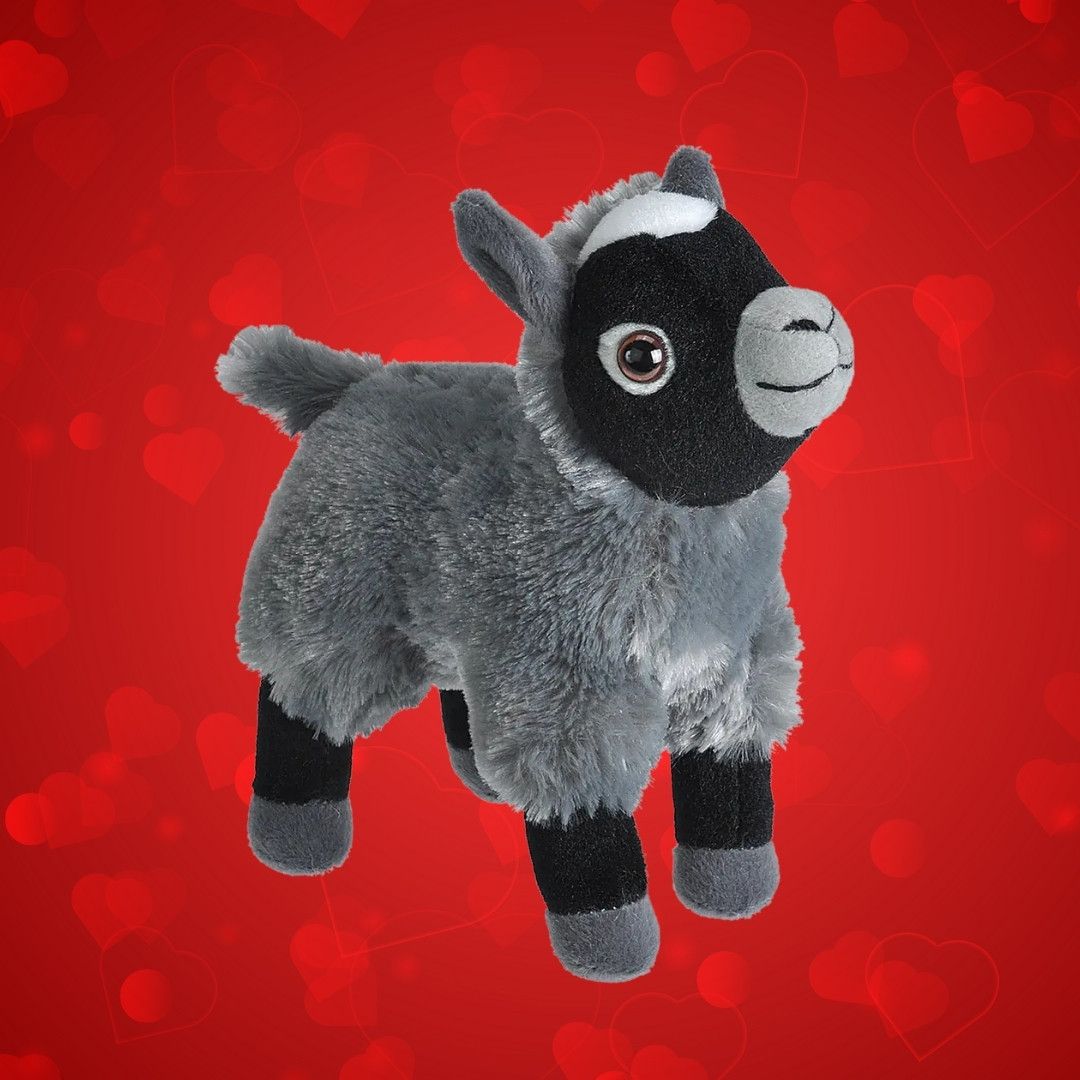 Zoo Valentine Adoption