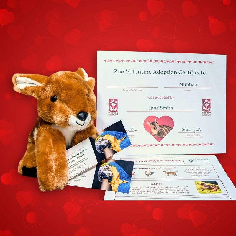Zoo Valentine Adoption
