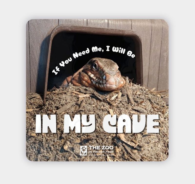 If You Need Me, I Will Be in My Cave Vinyl Sticker