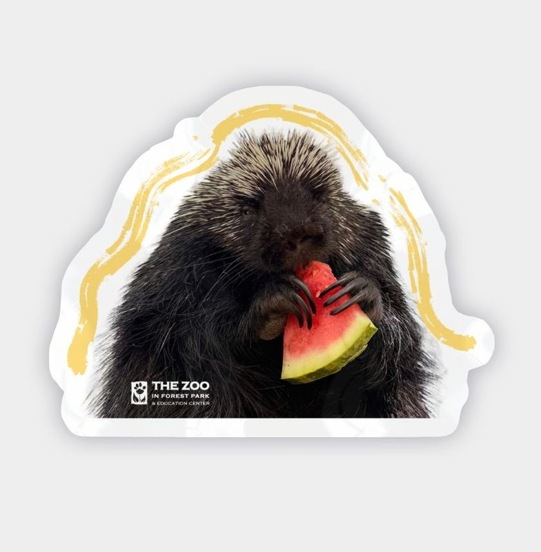 Porcupine Brushstroke Vinyl Sticker
