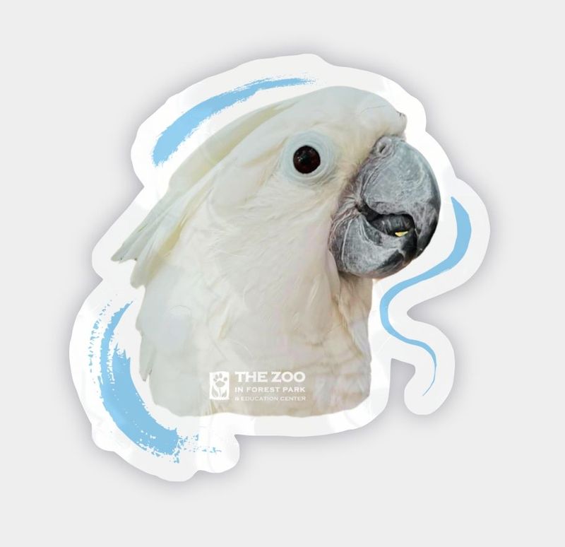 Cockatoo Brushstroke Vinyl Sticker