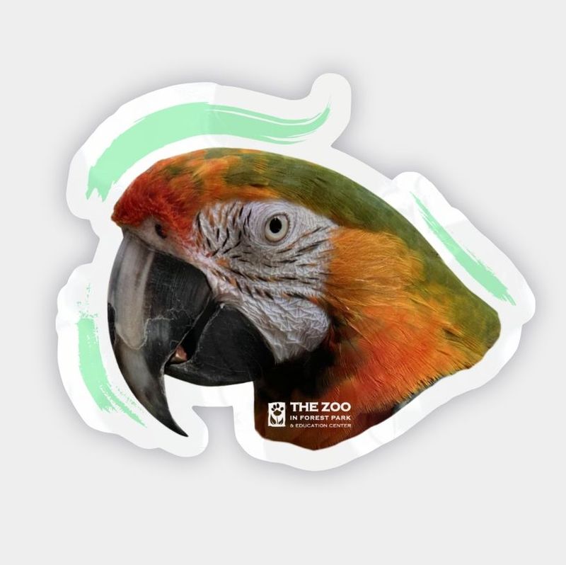 Catalina Macaw Brushtroke Vinyl Sticker
