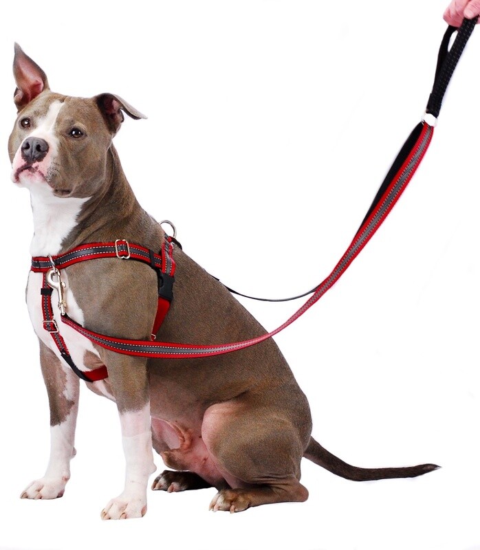 Freedom Harness Reflective