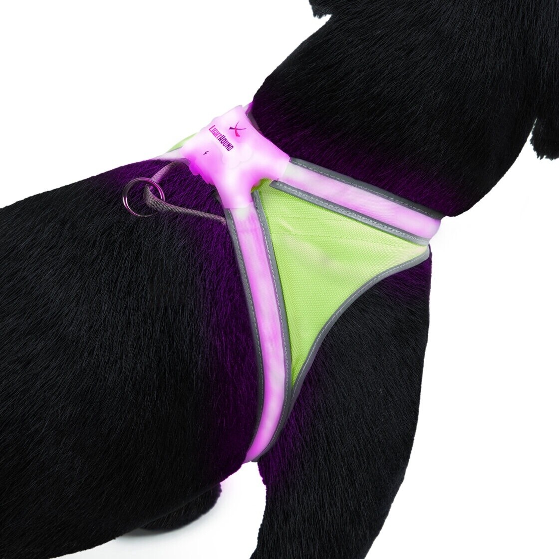 Lighthound LED Vest Harness