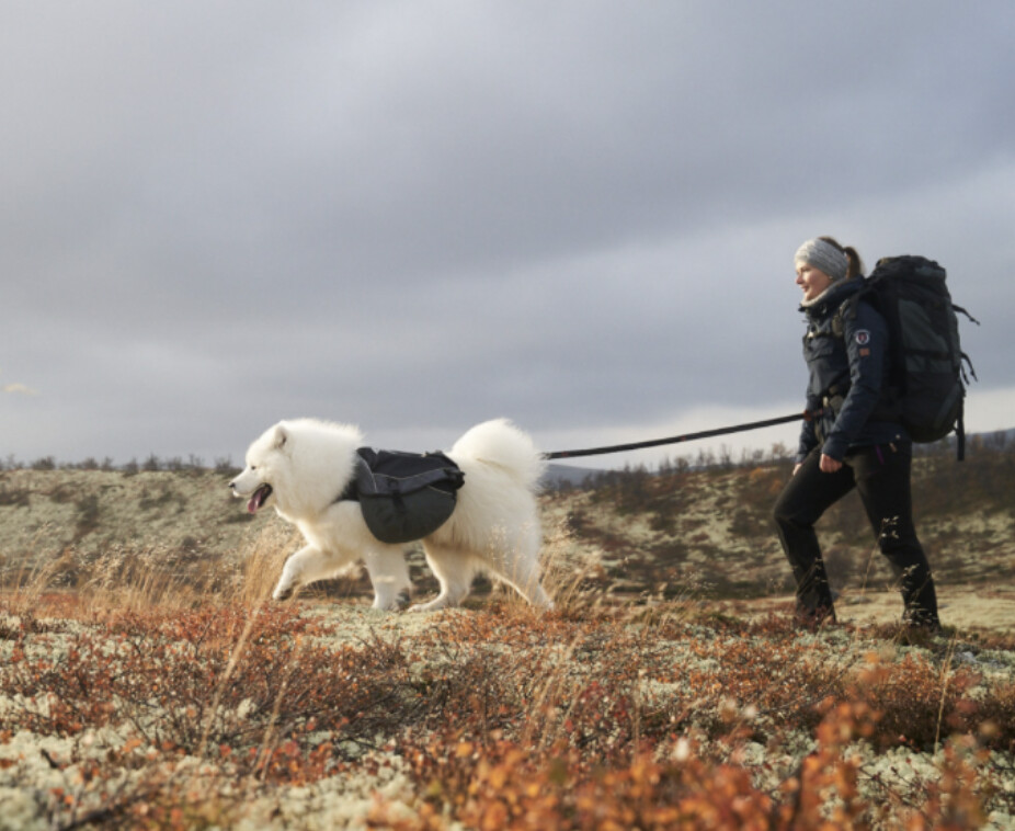 Touring Bungee Leash