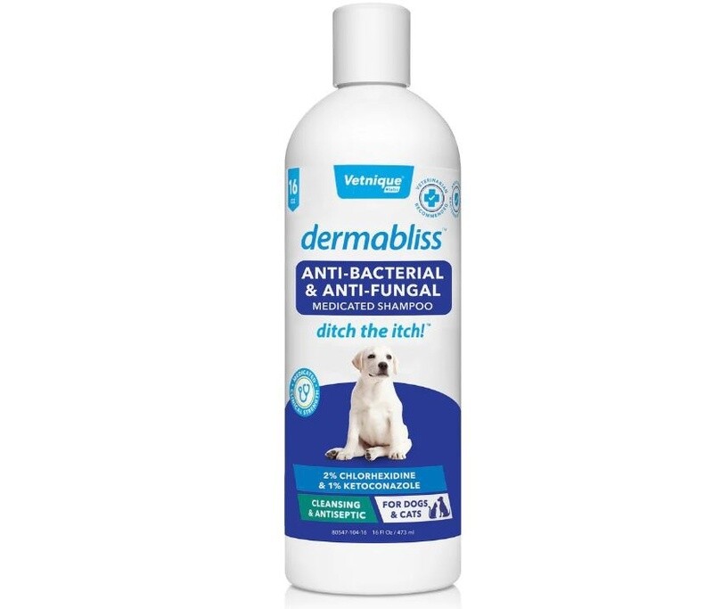 Dermabliss Anti-Bacterial &amp; Anti-Fungal Chlorhexidine Shampoo
