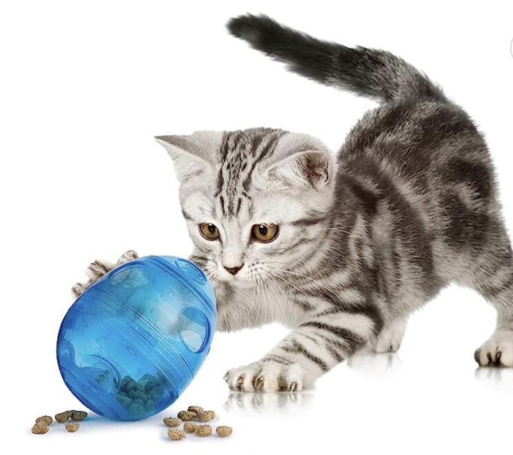 Egg-Cersizer Cat Feeder