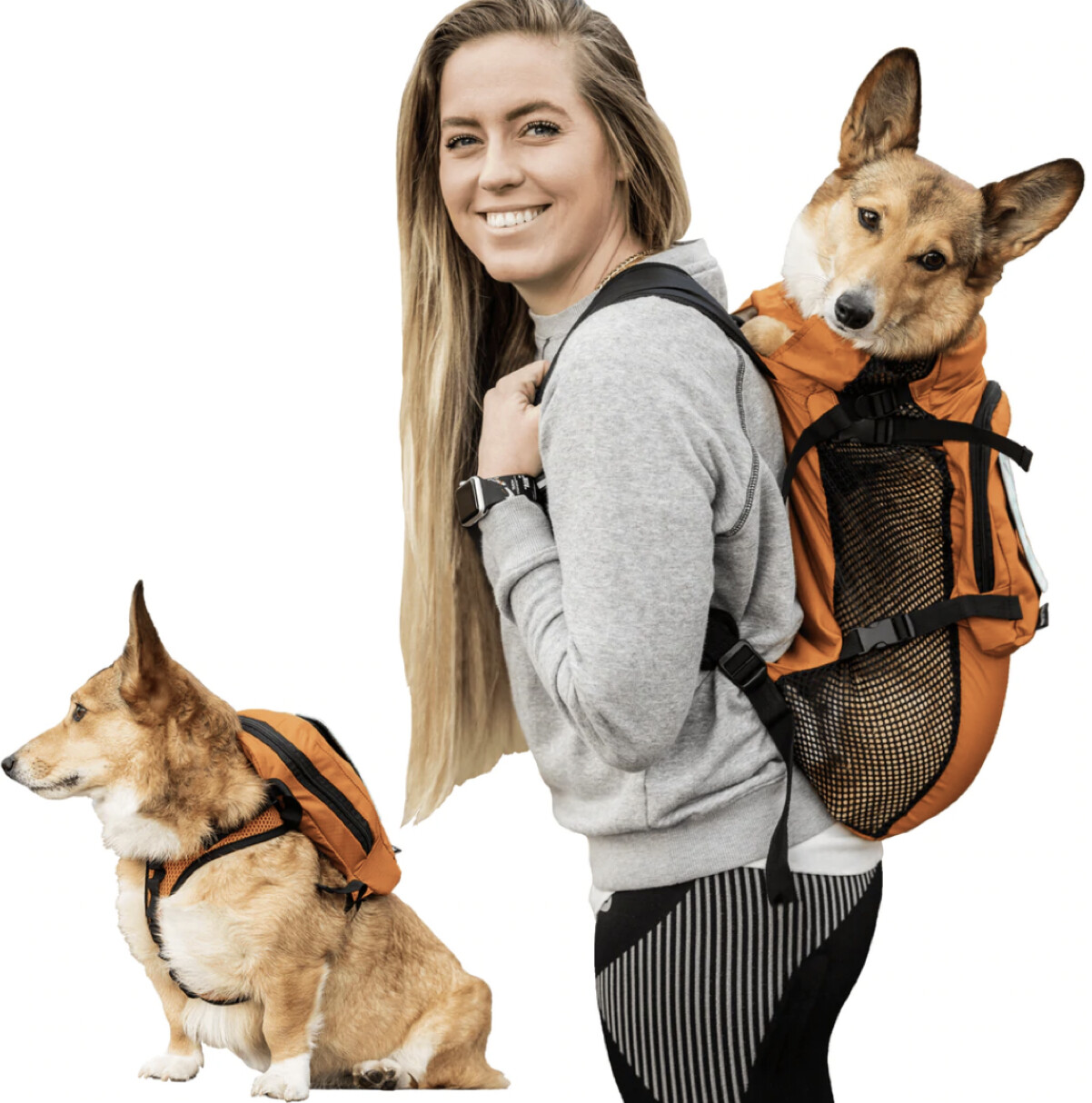 Walk-On w/Harness- Disco'd