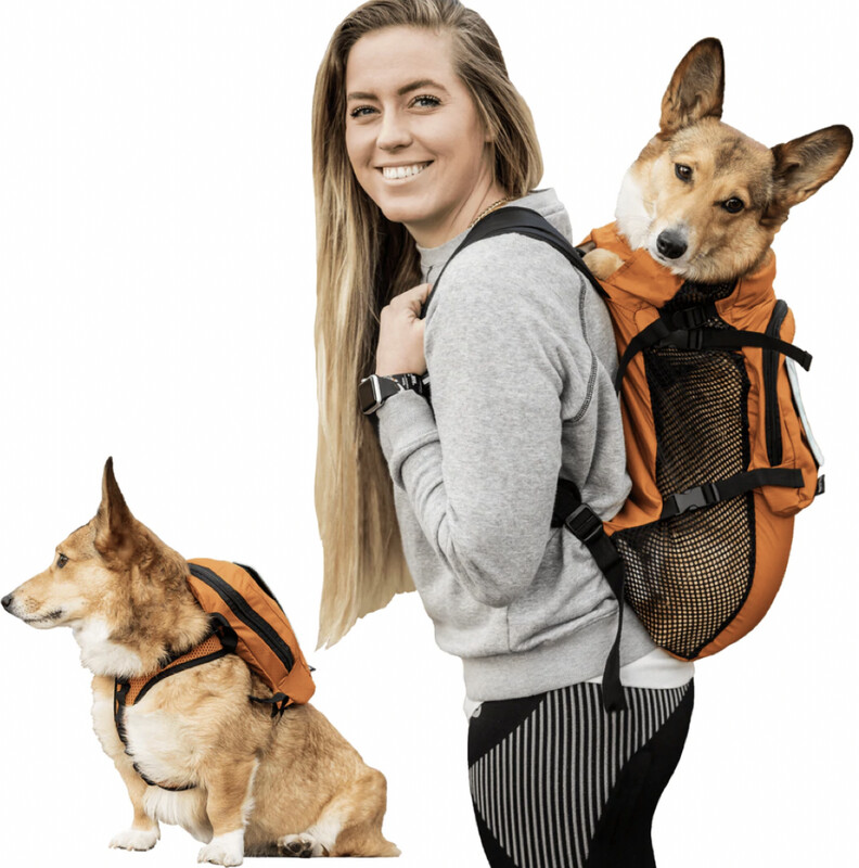 Walk-On w/Harness- Disco'd