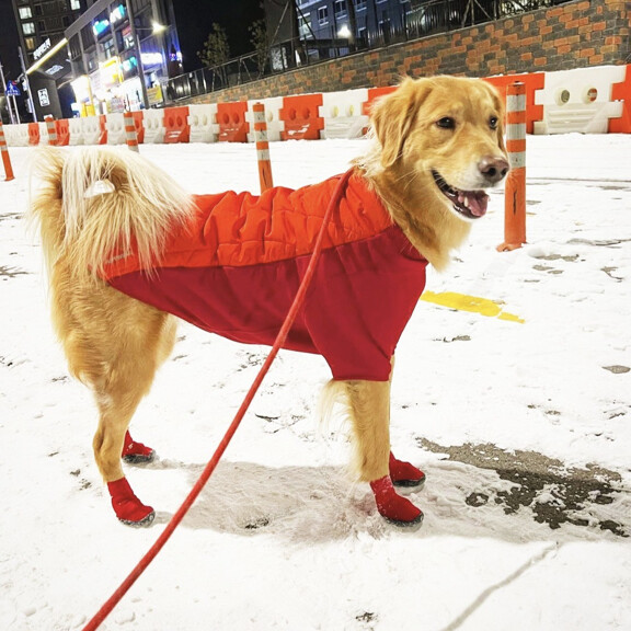 Goo-eez Athleticaz - Red (2-pack)