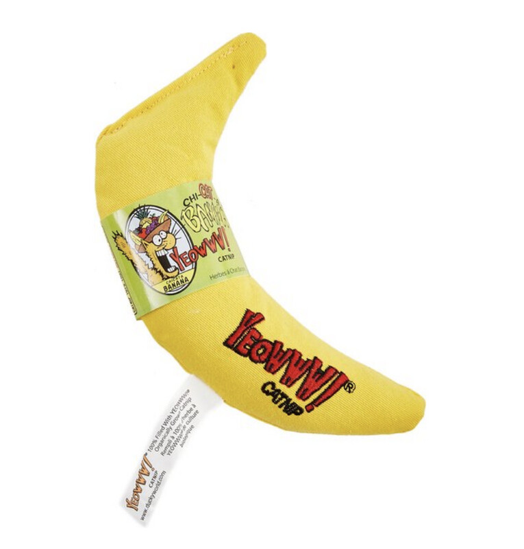 YEOWWW! CHI-CAT-A BANANA