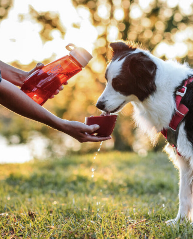 Gourd H20 Water Bottle