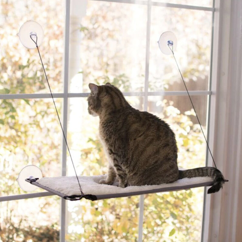 Kitty Sill - EZ Window Mount