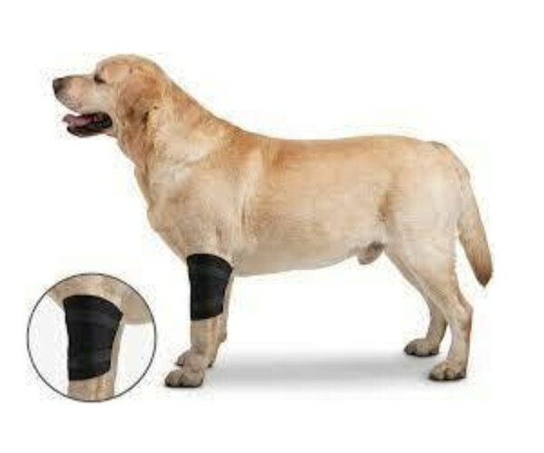 ZenPet Elbow wrap