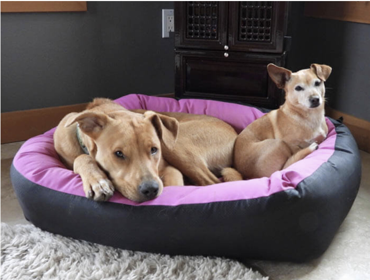 Waterproof Barrier Nestle