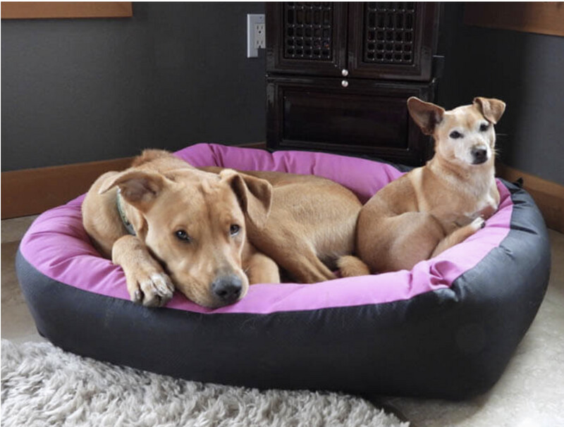 Waterproof Barrier Nestle