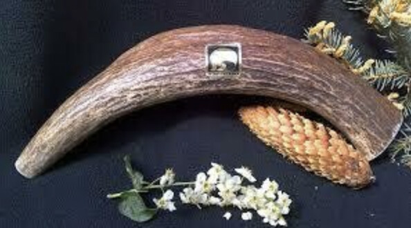 AK Wilderness Antlers