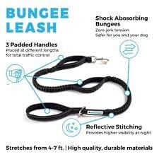 Shed Defender Trident Bungee Leash