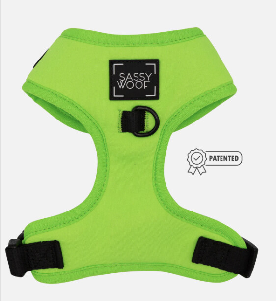 Sassy Woof Harness