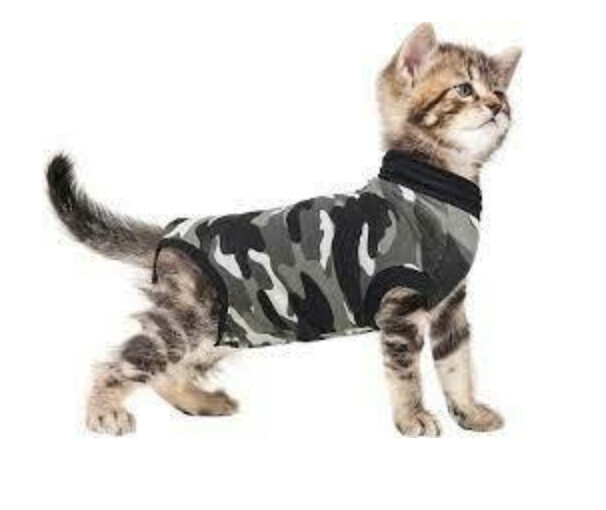 Recovery Suit Cat