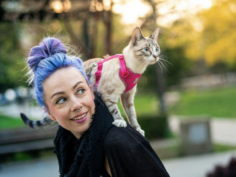 Adventure Kitty Harness