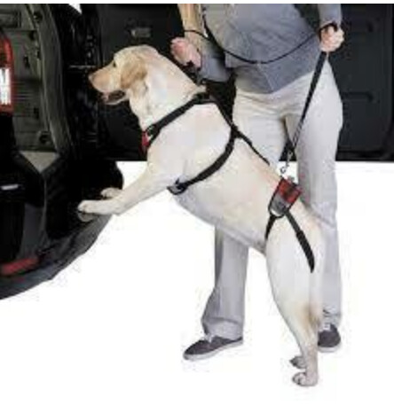 TH Lift &amp; Go Lead