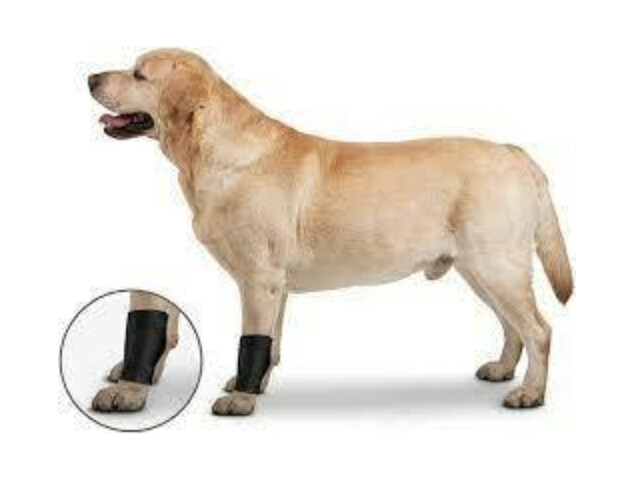 ZenPet Ligament Wrap