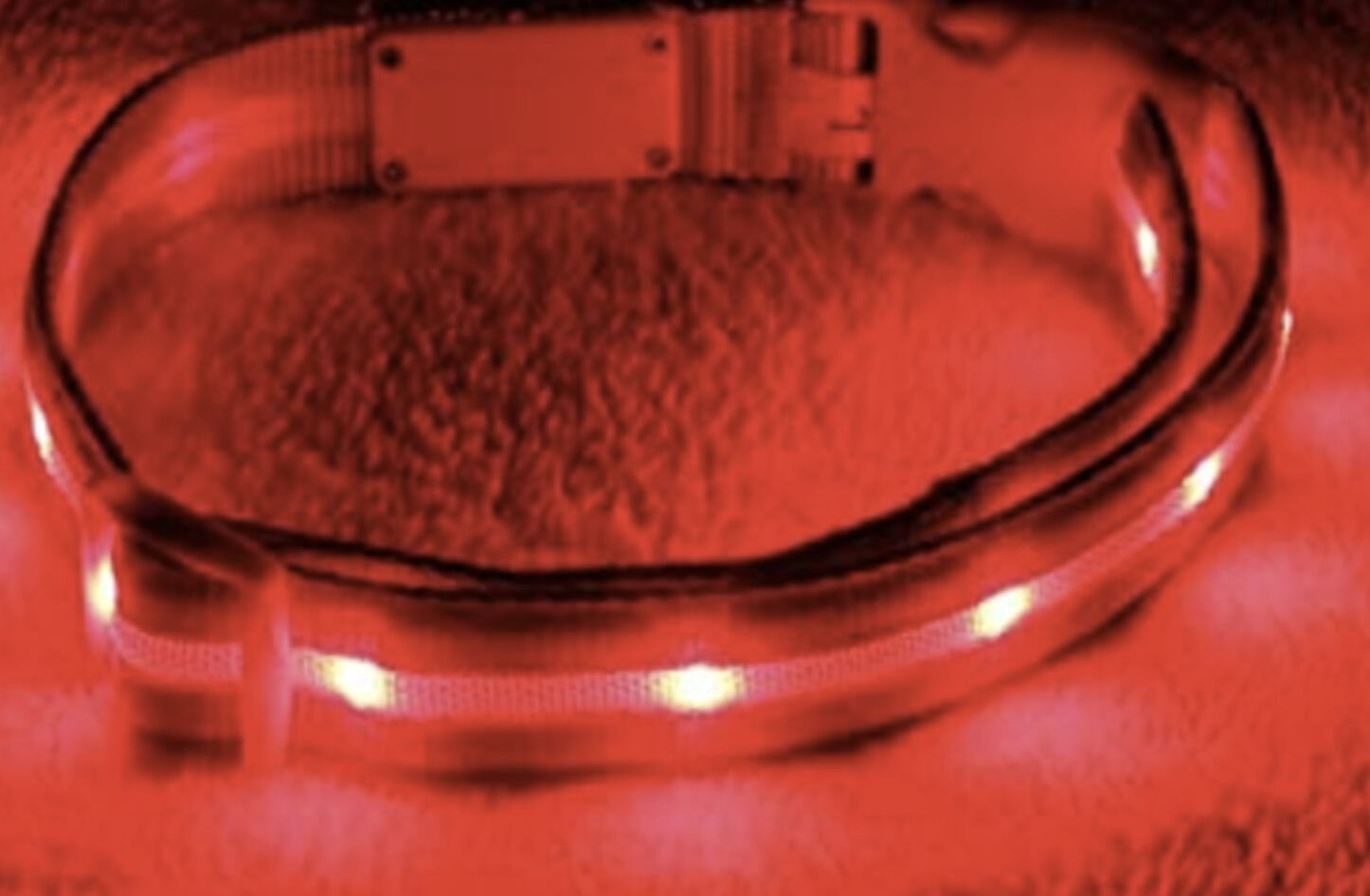 Blazin LED Collar, Color: Red, Size: XS