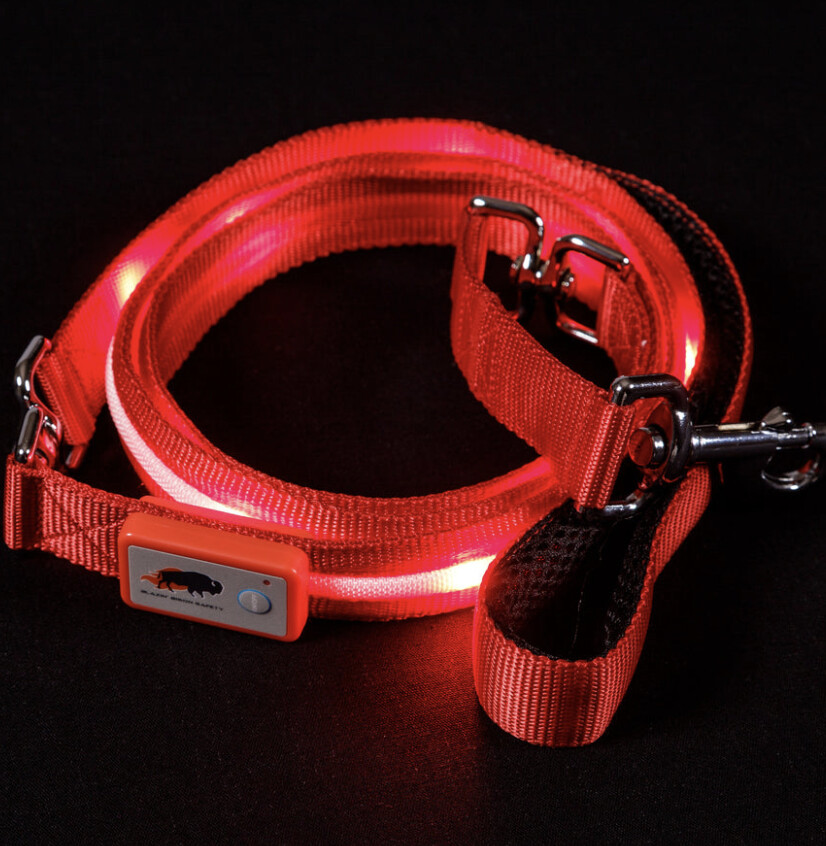 Blazin LED Leash, Size: S, Color: Red