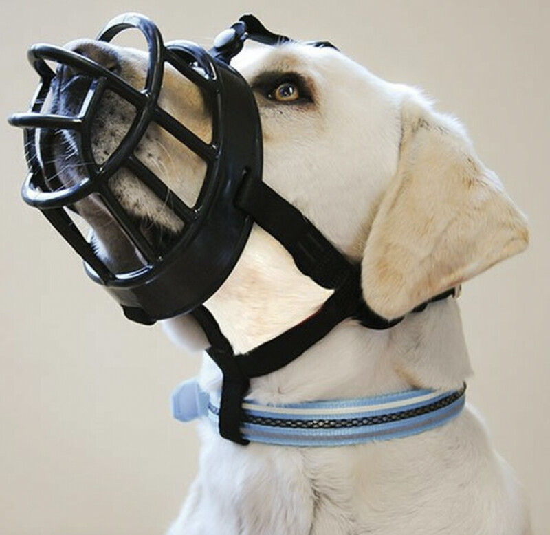 Baskerville Ultra Muzzle