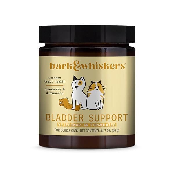 Bladder Support