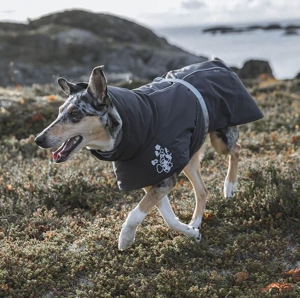 Hurtta Extreme Warmer