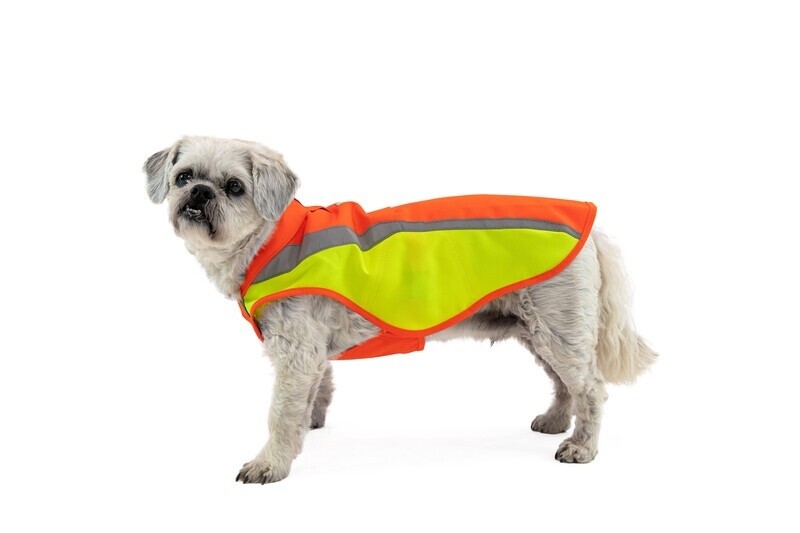 Lumenglow High-Vis Jacket, Size: XXS, Color: Blaze Orange