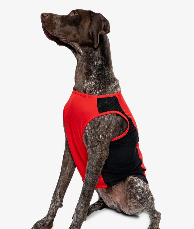 Insect Shield Airflow Tank, Color: Poppy, Size: XS